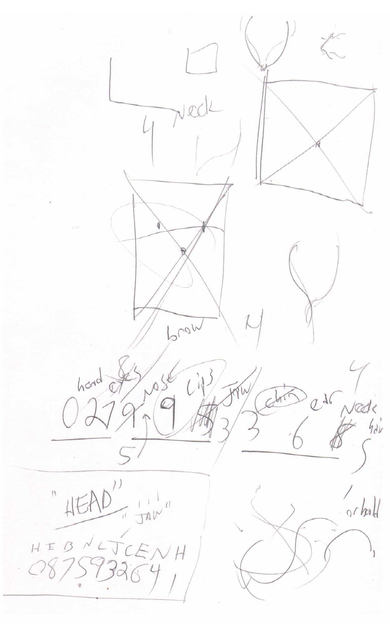 Head shape box studies, number annotations
