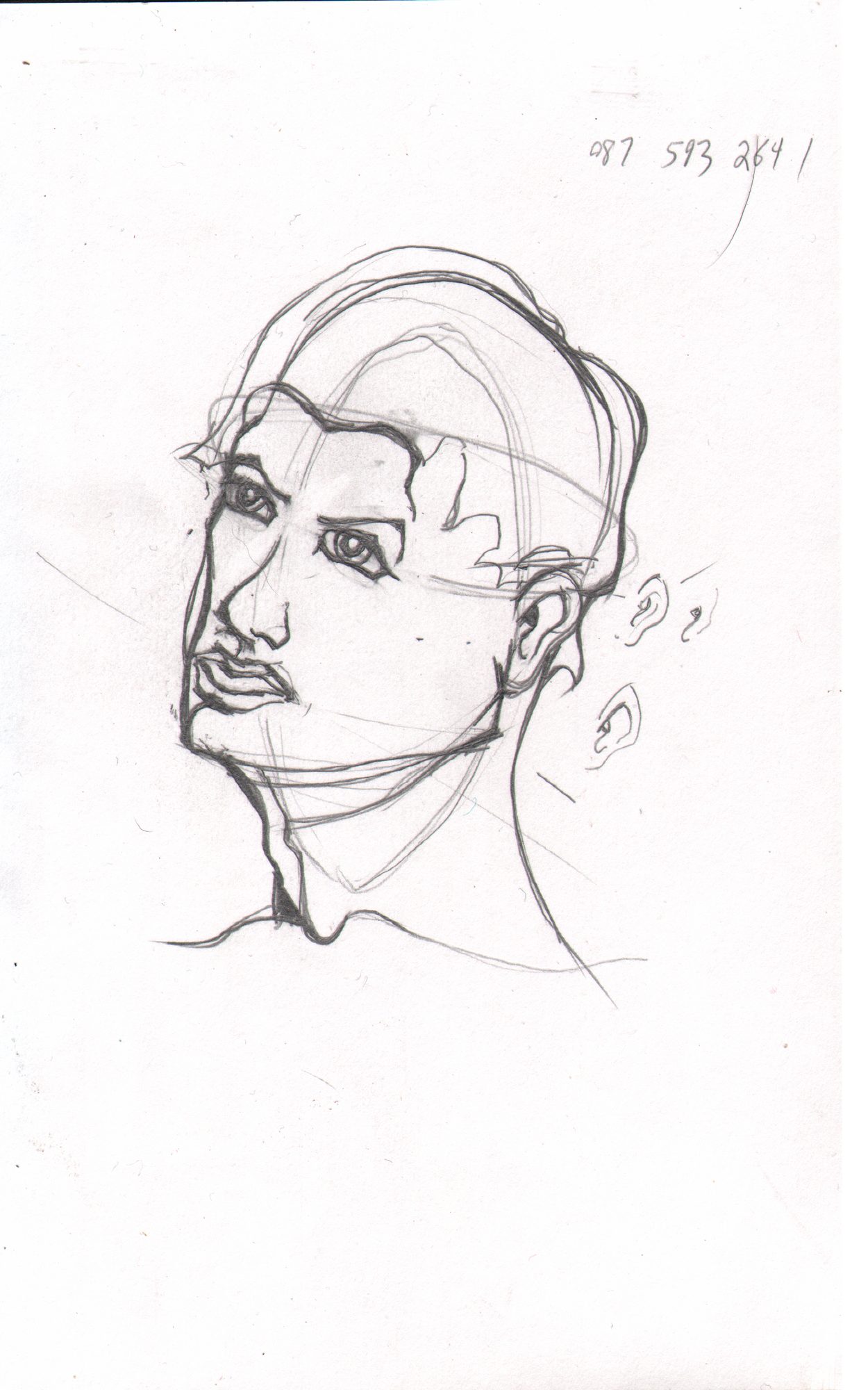 Head at 3/4 angle — full with construction lines