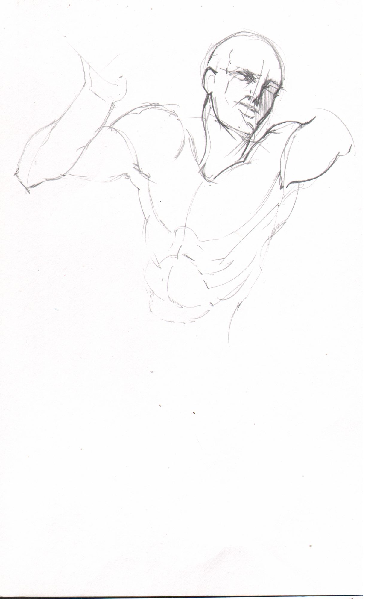 Torso/shoulder upper body — clean construction