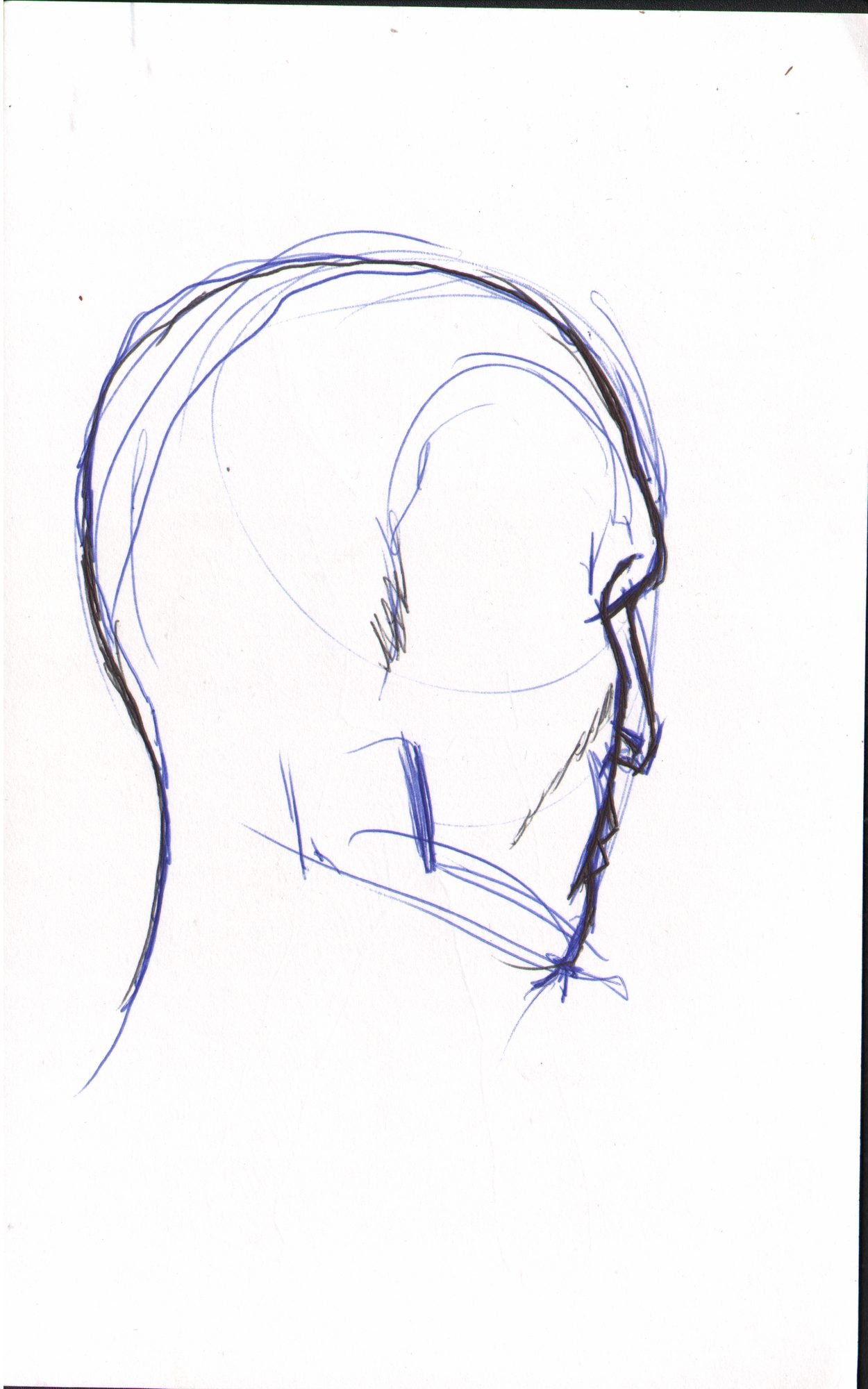 Head profile — blue pen side view construction