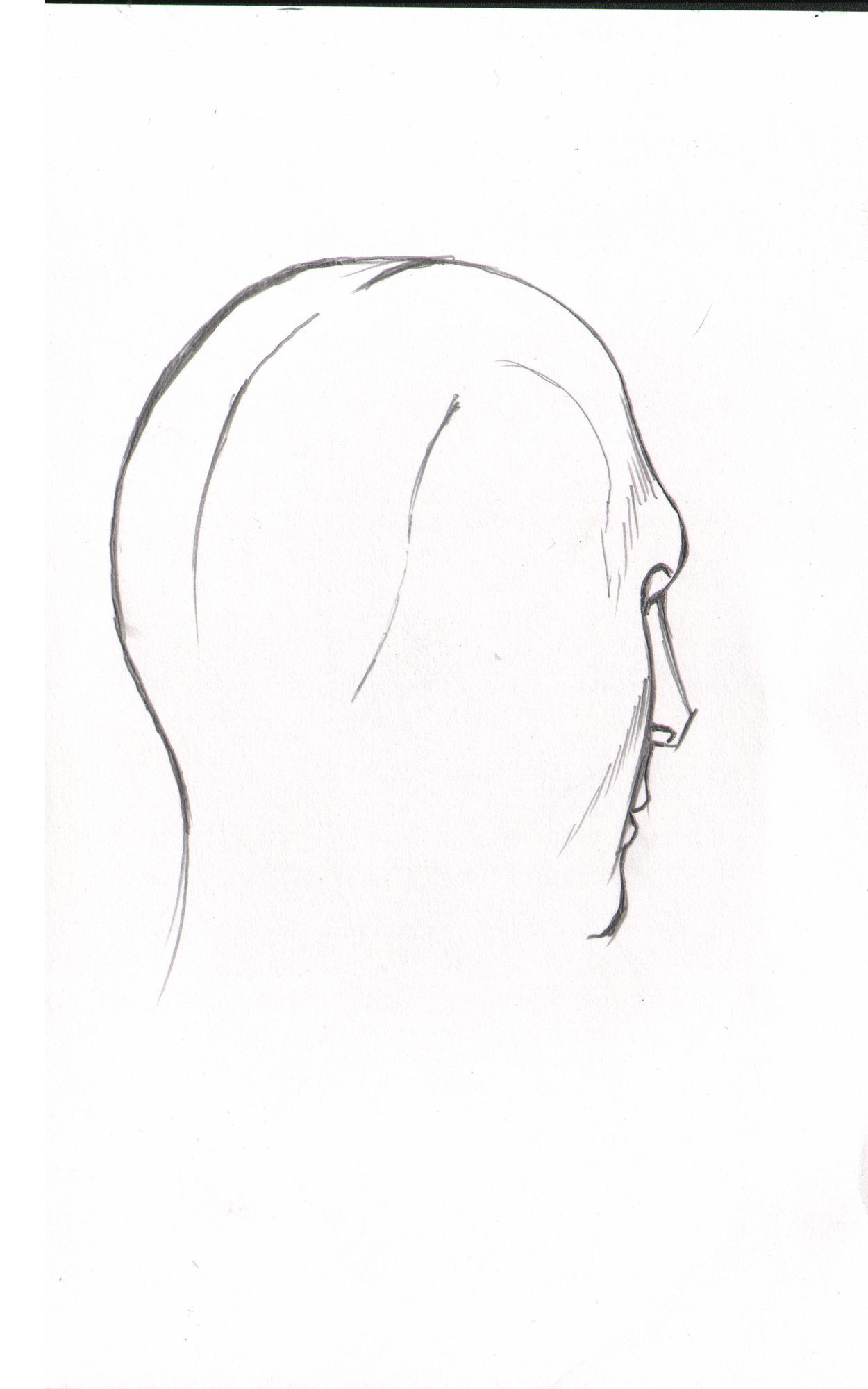 Head profile clean — pencil side view