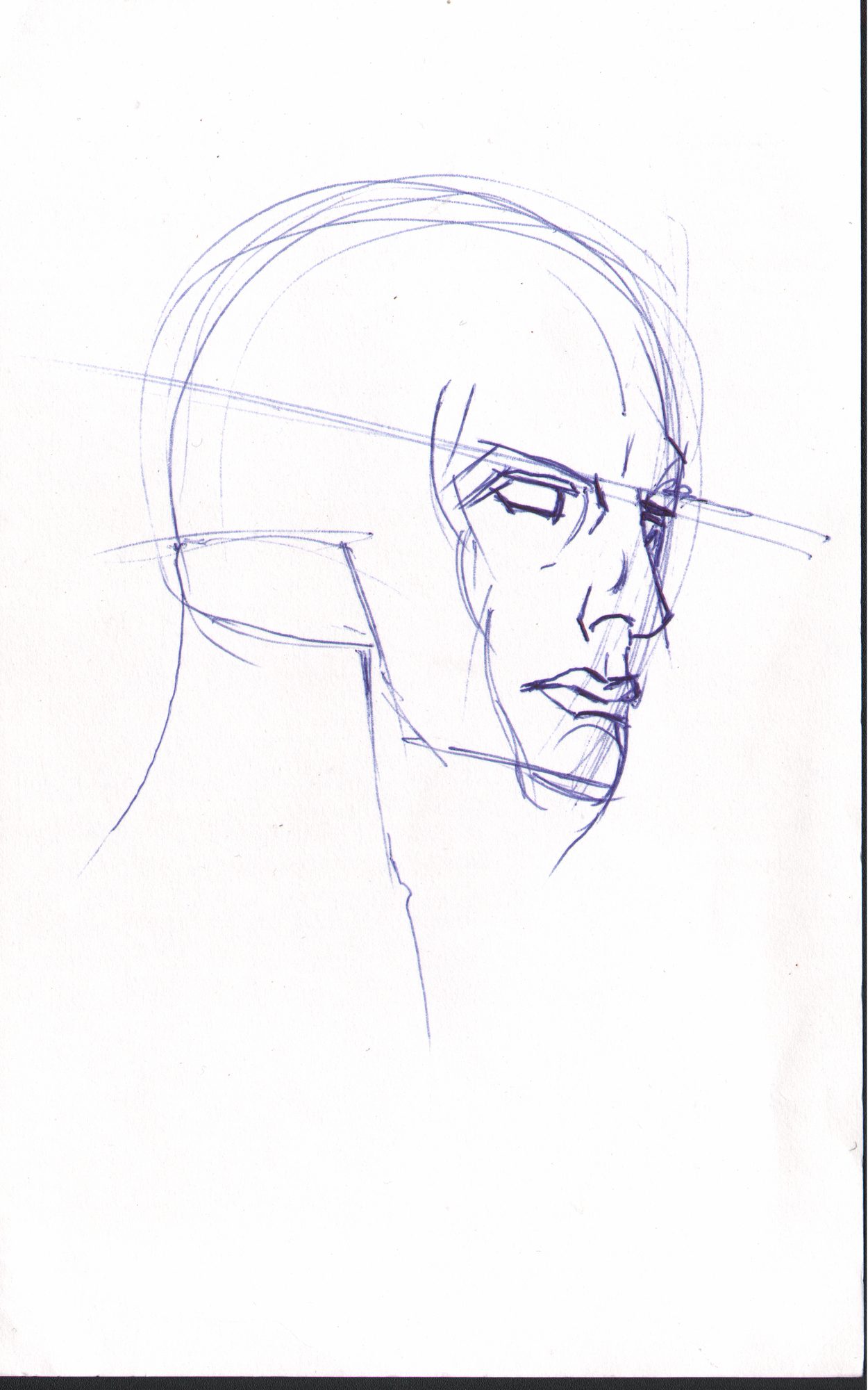 Head front view — blue pen, proportion lines