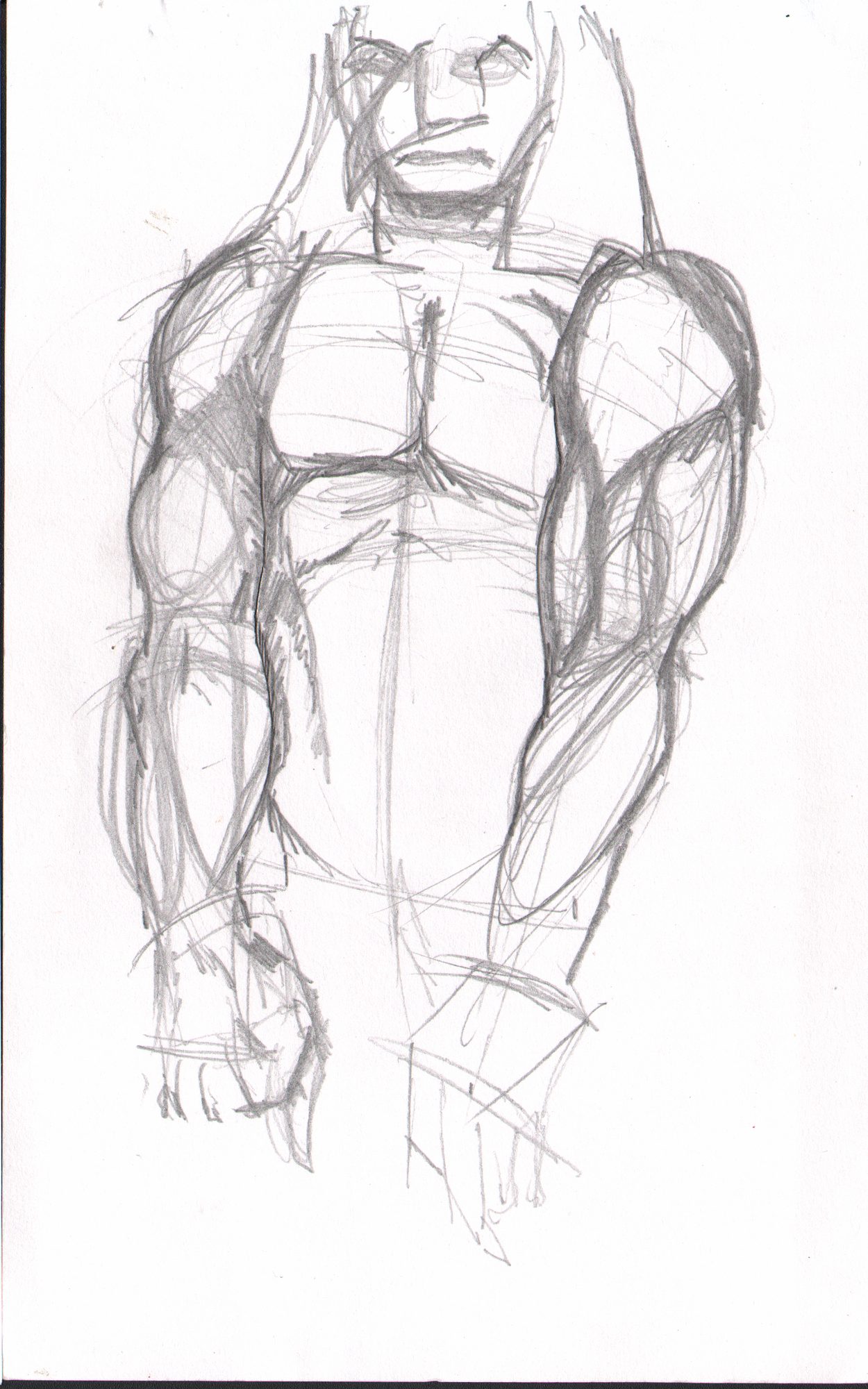 Heroic muscular torso — anatomy sketch