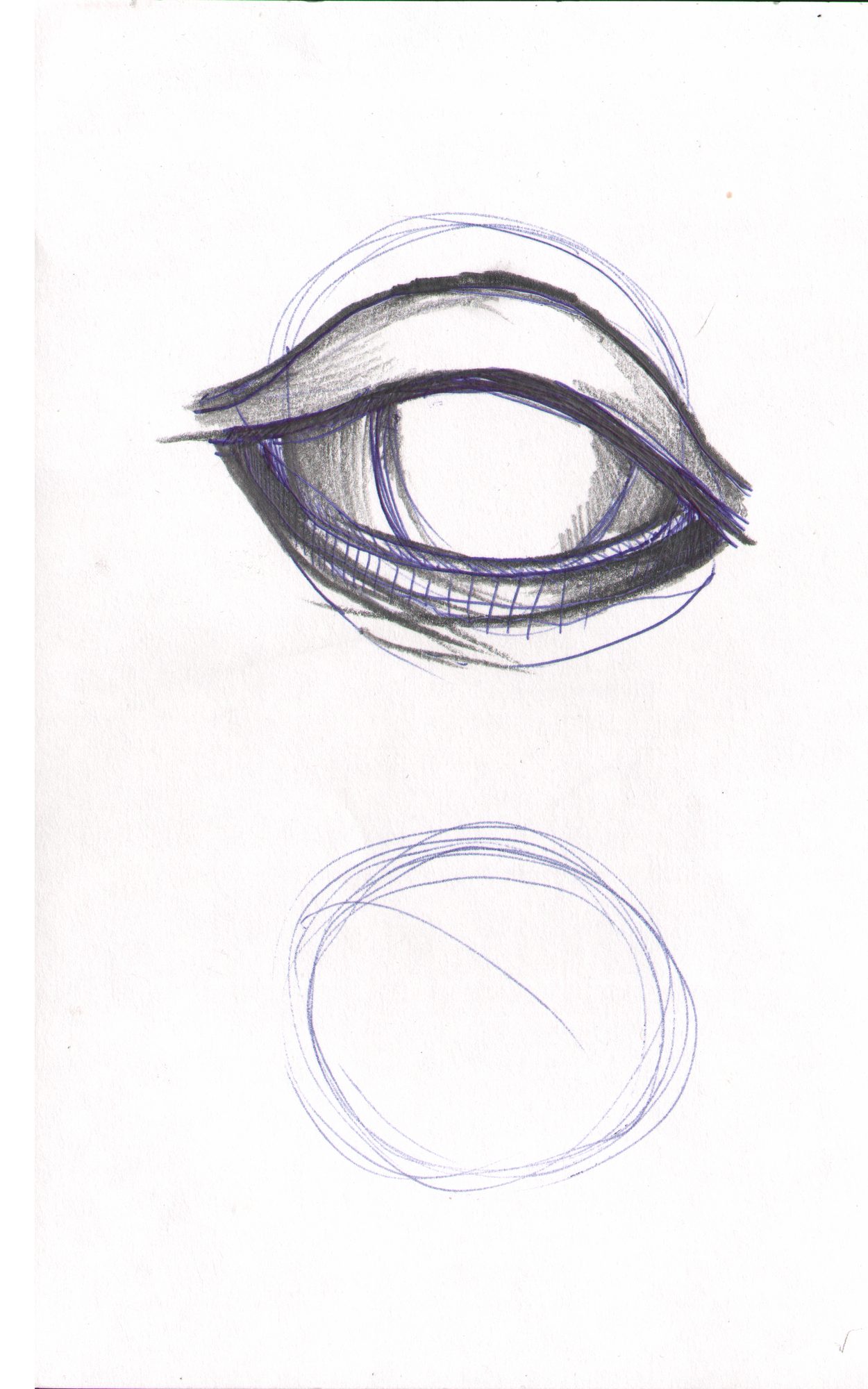 Eye close-up study — detailed construction