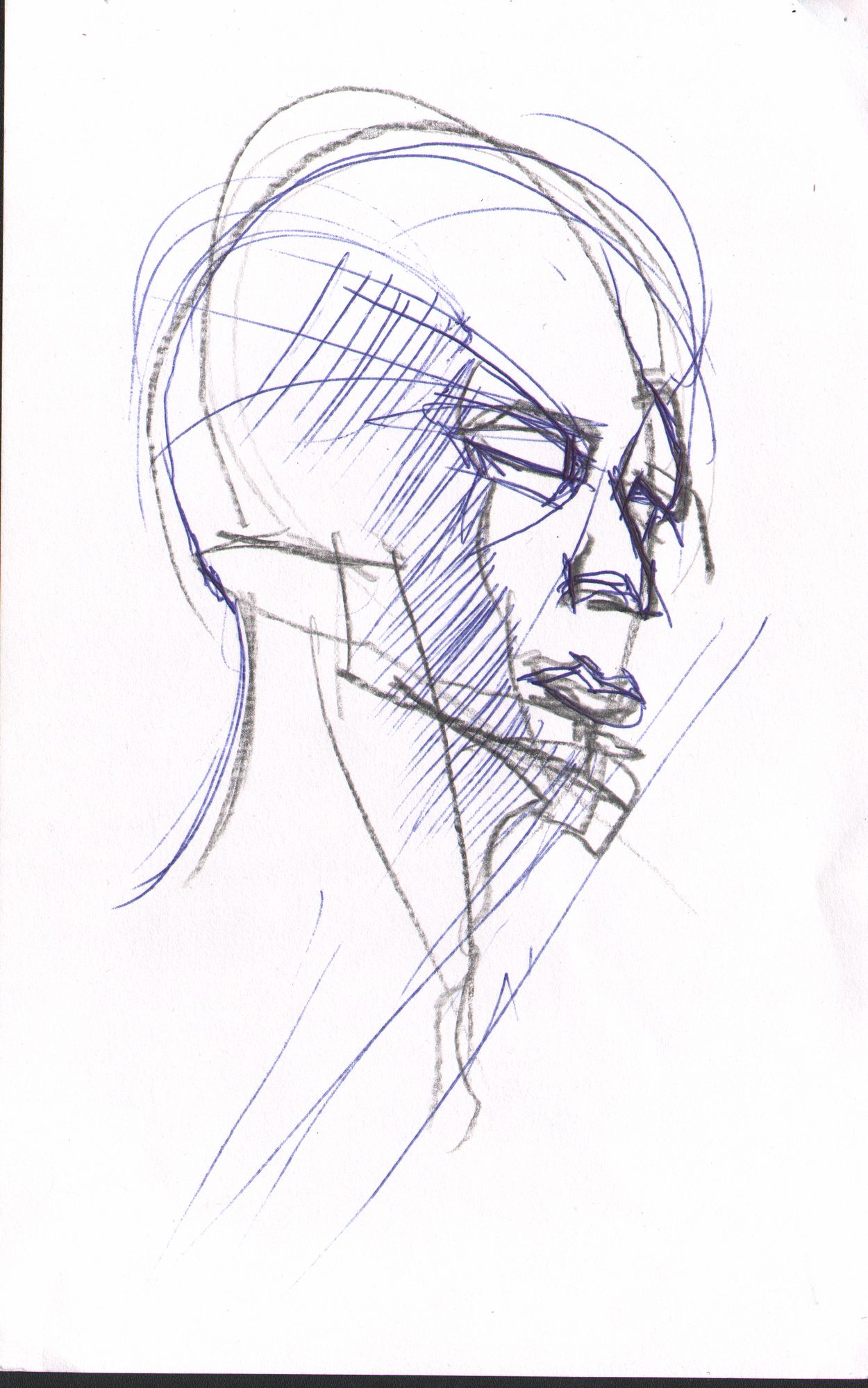 Head at angle — blue pen expressive