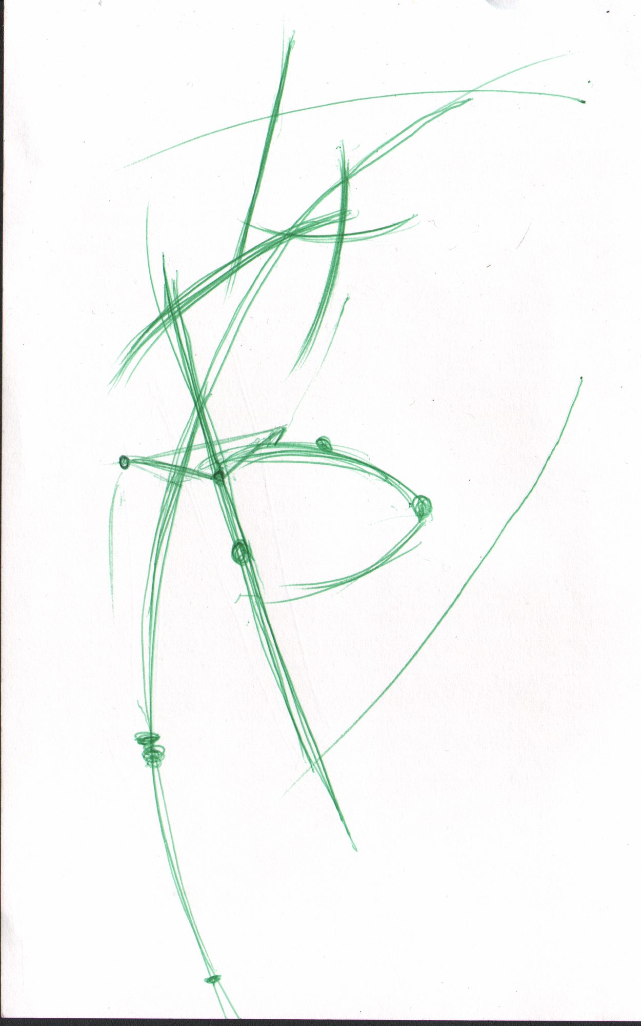 Green gesture — rib/spine line study