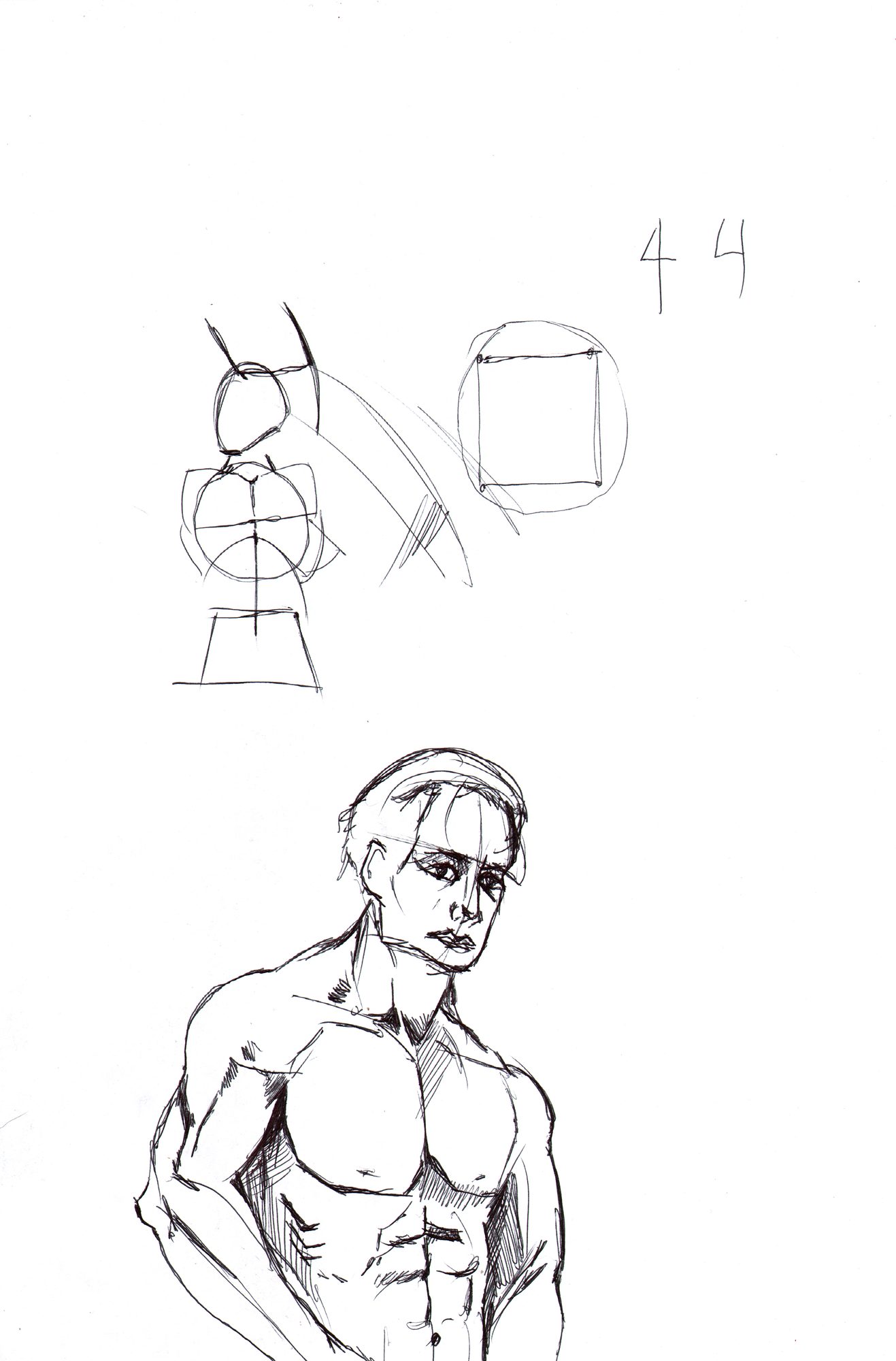 Life drawing — pelvis/hip reference